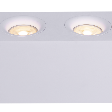 Потолочный светильник Technical C013CL-02W