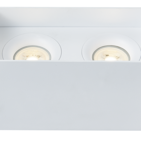 Потолочный светильник Technical C015CL-02W