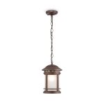 Подвесной светильник Outdoor O031PL-01BR