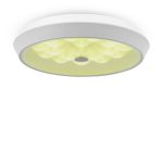 Потолочный светильник Freya FR10012CL-L24W — изображение 2