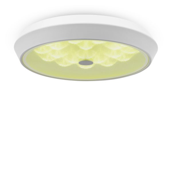 Потолочный светильник Freya FR10012CL-L24W — изображение 2