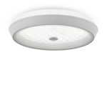 Потолочный светильник Freya FR10012CL-L24W