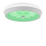 Потолочный светильник Freya FR10012CL-L24W — изображение 3