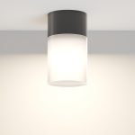 Потолочный светильник Outdoor O418CL-01B — изображение 3