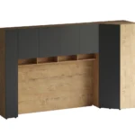 Композиция Modus 63