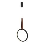 SL6131.403.12 Светильник подвесной ST-Luce Черный/Черный