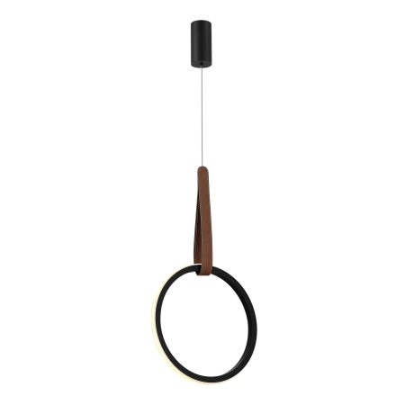 SL6131.403.12 Светильник подвесной ST-Luce Черный/Черный