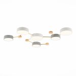 SLE600102-06 Светильник потолочный Золотистый