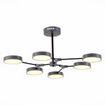 Черный/Серый LED 6*10W MONTA