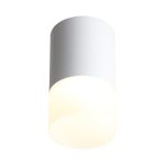 ST100.502.05 Светильник потолочный Белый LED 1*5W 3000K 390Lm Ra>80 120° D64xH110 170-240V Накладные светильники — изображение 2