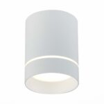 ST115.542.12 Светильник потолочный Белый LED 1*12W 4000K 840Lm Ra>90 120° IP20 D79xH100 170-240V Накладные светильники