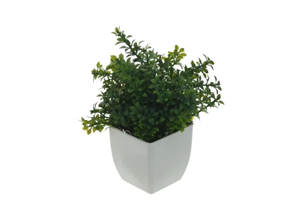cvetok-iskusstvennyj-zelen-v-belom-gorshke-2 Цветок искусственный Зелень в белом горшке белый, зеленый — изображение 3