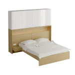 Композиция Intra 1