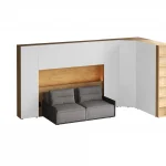 Композиция Modus 41