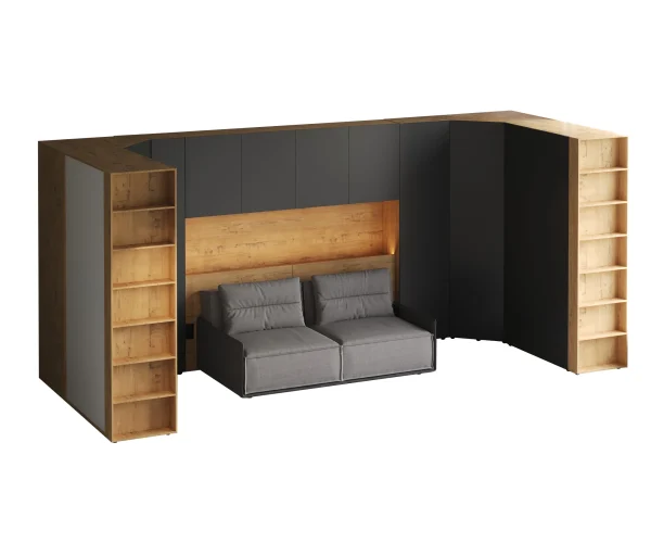 Композиция Modus 42