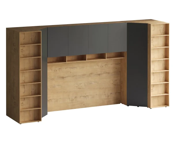 Композиция Modus 65