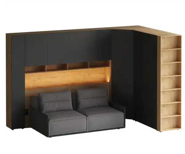 Композиция Modus 81