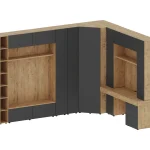 Композиция Modus g13