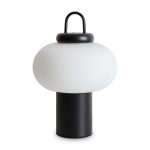 Настольный светильник Freya FR6175TL-L10B — изображение 3