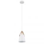 Подвесной светильник Arte Lamp THOMAS A7032SP-1WH