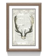 Постер IMMAGINE, FRATELLI BARRI — изображение 3