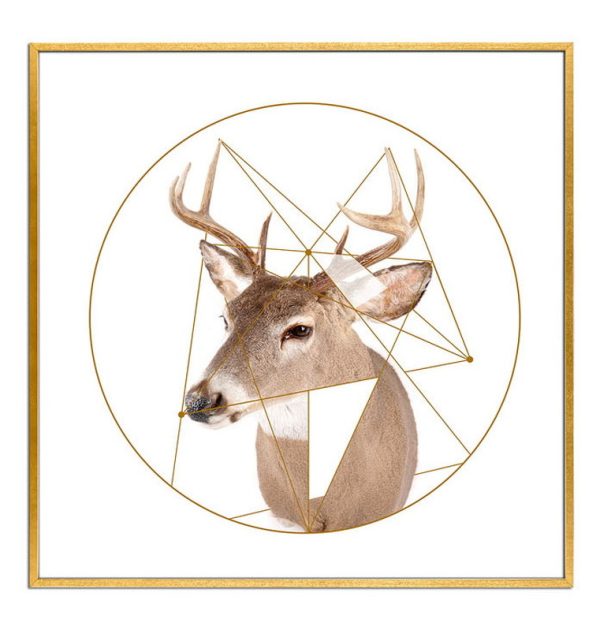 Постер IMMAGINE, FRATELLI BARRI — изображение 3