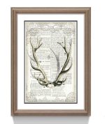 Постер IMMAGINE, FRATELLI BARRI — изображение 3