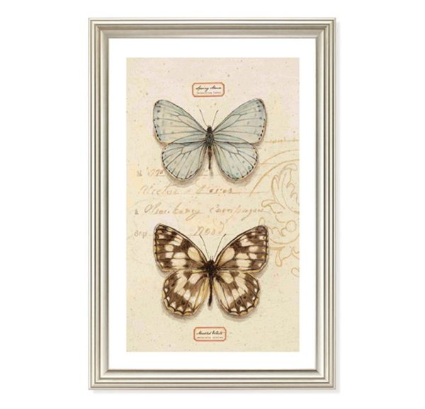 Постер IMMAGINE