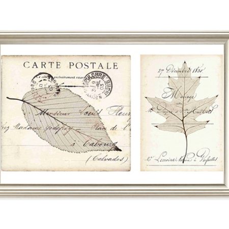 Постер IMMAGINE