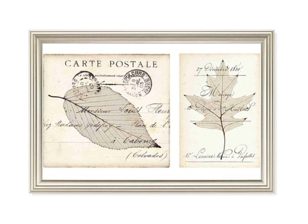 Постер IMMAGINE