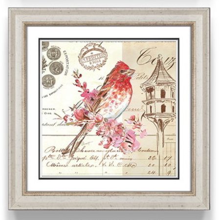 Постер IMMAGINE