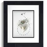 Постер IMMAGINE