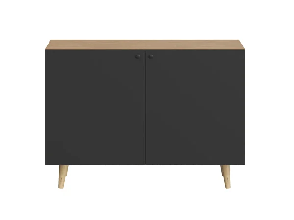 Сервант Frida черный, робиния брэнсон — изображение 2