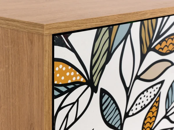Шкаф 2-дверный Boho Color дуб корбридж, с принтом — изображение 3