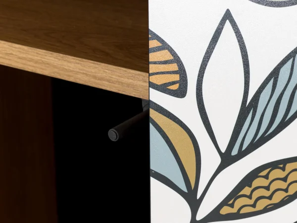 Шкаф 2-дверный Boho Color дуб корбридж, с принтом — изображение 5