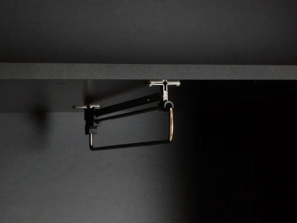 Шкаф 2-дверный Look черный, робиния брэнсон — изображение 5