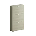 Шкаф для обуви Reggy 3