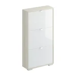 Шкаф для обуви Reggy 3