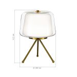 SL6127.304.01 Прикроватная лампа ST-Luce Латунь/Белый