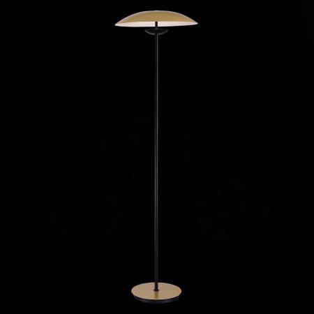 SL6502.205.01 Торшер ST-Luce Золотистый