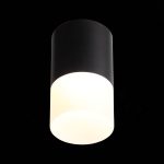 ST100.402.10 Светильник потолочный Черный LED 1*10W 3000K 780Lm Ra>80 120° D78xH135 170-240VV Накладные светильники — изображение 4