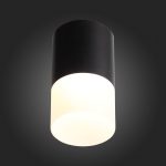 ST100.402.10 Светильник потолочный Черный LED 1*10W 3000K 780Lm Ra>80 120° D78xH135 170-240VV Накладные светильники — изображение 5