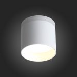 ST102.502.09 Светильник потолочный Белый LED 1*9W 3000K 702Lm Ra>80 120° IP20 D79xH75 170-240V Накладные светильники — изображение 5