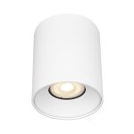 ST167.502.01 Светильник потолочный Белый GU10 1*50W IP20 D80xH95 220V Без ламп Накладные светильники