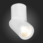 ST650.532.10 Светильник потолочный Белый LED 1*10W 3000K 800Lm Ra>90 38° IP44 D62xH151 165-265V Накладные светильники — изображение 2