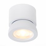 ST654.532.10 Светильник потолочный Белый LED 1*10W 3000K 850Lm Ra>90 38° IP20 D95xH96 180-240V Накладные светильники — изображение 4