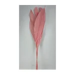 Сухоцвет Листья магнолии 75 см розовый