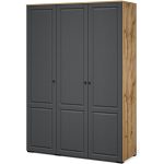 Шкаф «Лацио Сканди» 3д, Вотан/Сканди графит — изображение 2