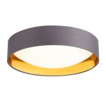 SLE201112-01 Светильник потолочный Серый, Золотистый/Белый LED 1*24W 4000K ORBIO — изображение 3