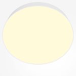 Потолочный светильник Technical C032CL-45W2.7K-RD-W — изображение 2